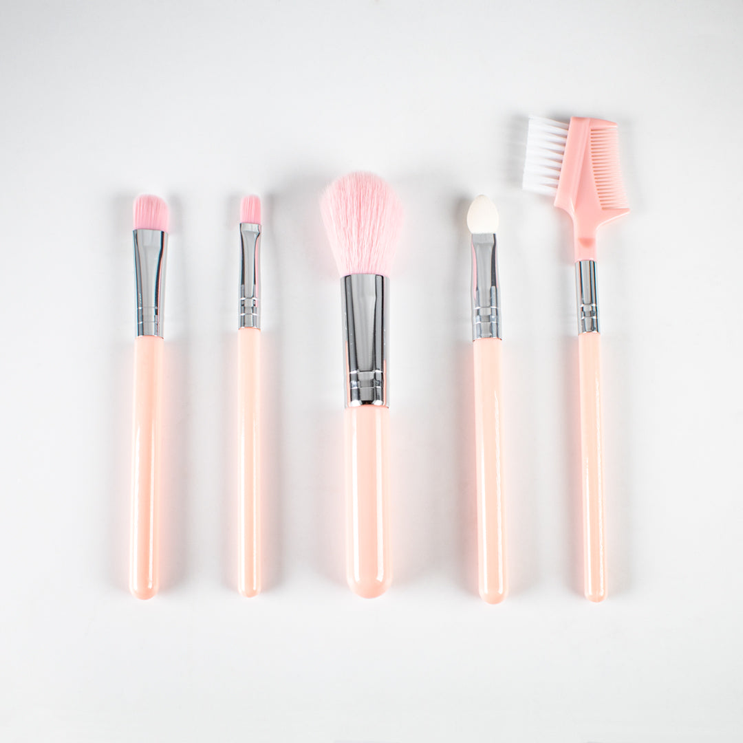 Px Look Makeup Brush 5 PCS Set Brush