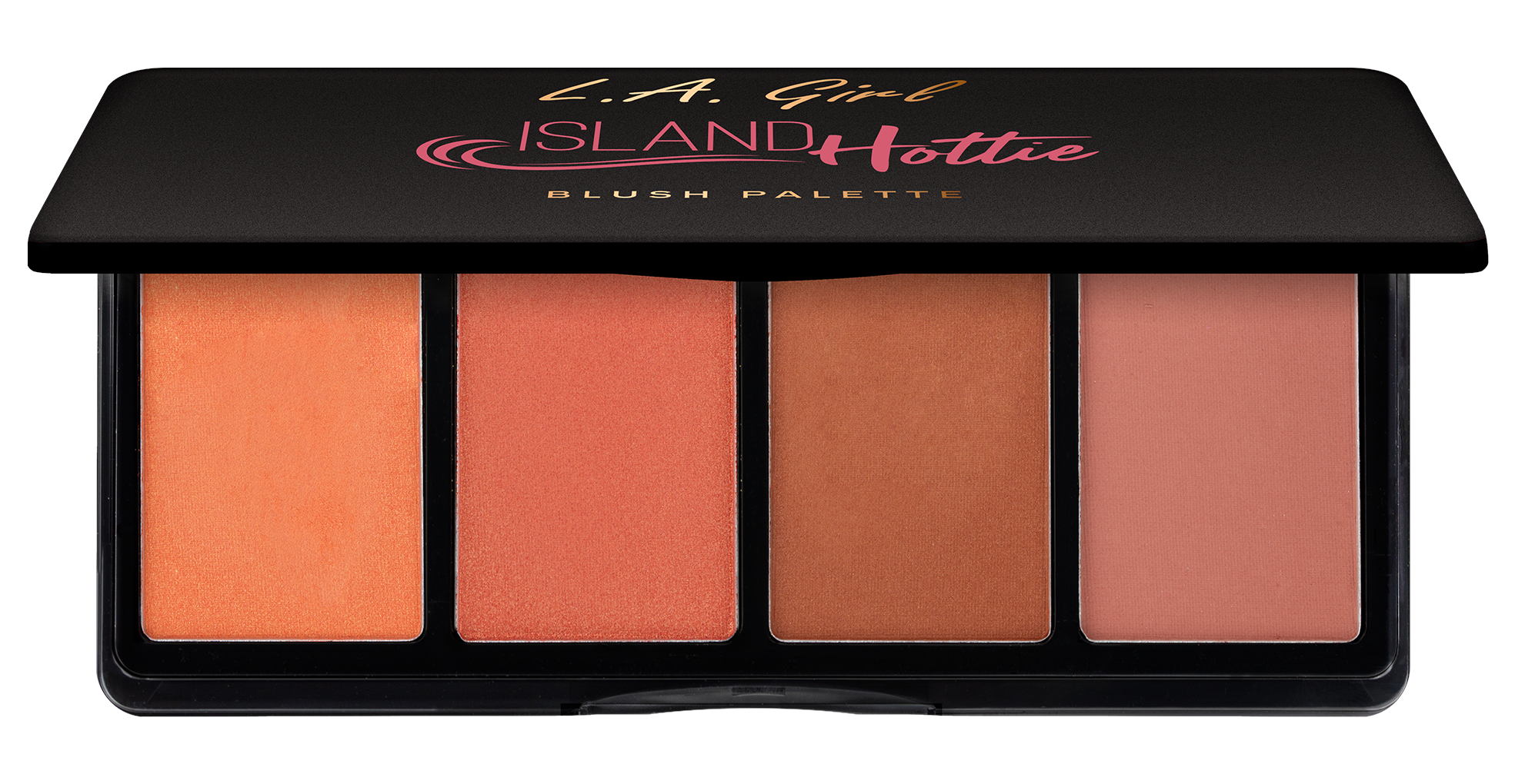 L.A. Girl Fanatic Blush Palette