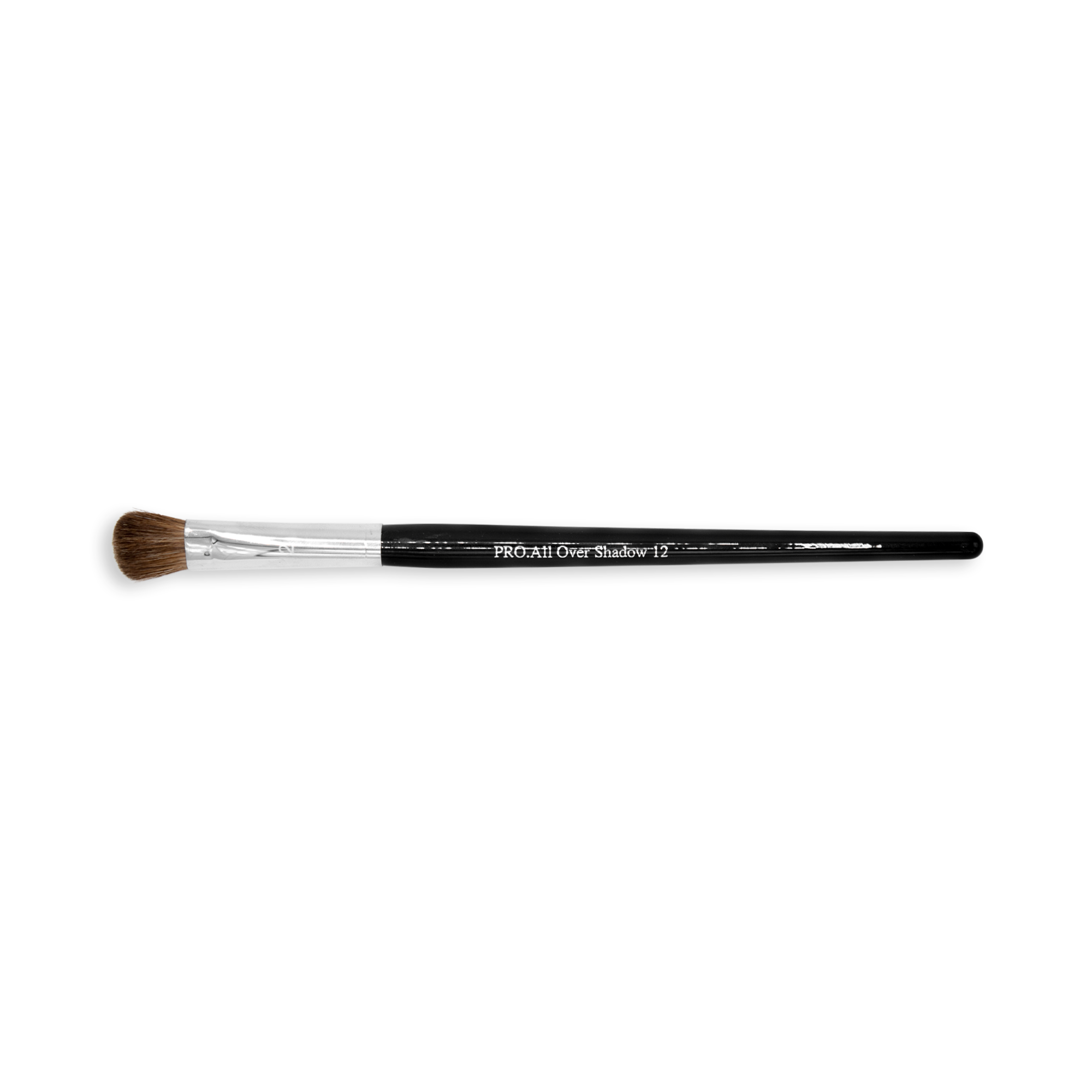 Moist Brush Pro 12 All Over Shadow