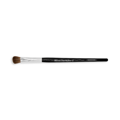 Moist Brush Pro 12 All Over Shadow