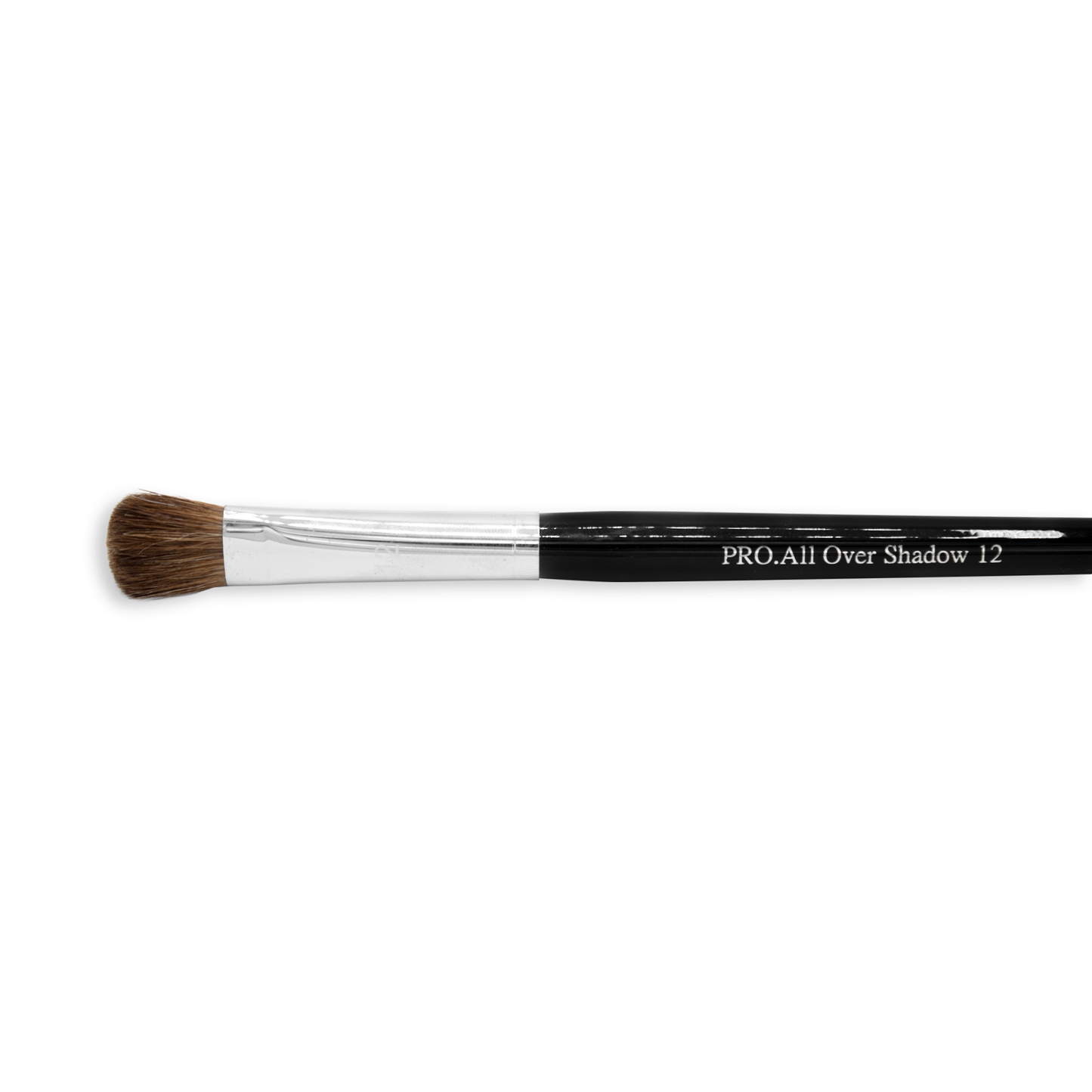 Moist Brush Pro 12 All Over Shadow