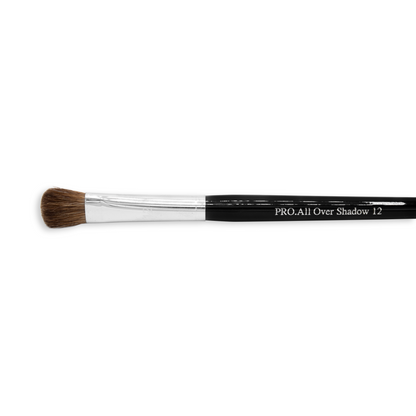 Moist Brush Pro 12 All Over Shadow