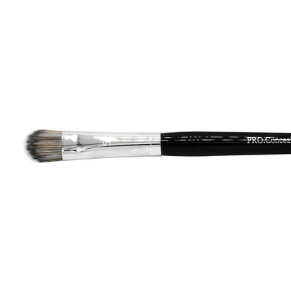 Moist Brush Pro 52 Concealer